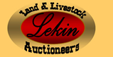 lekin logo